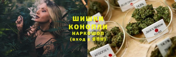 шишки Баксан