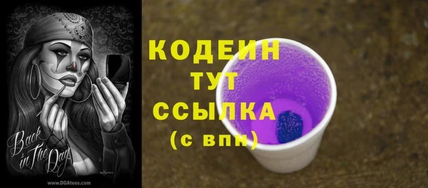 шишки Баксан