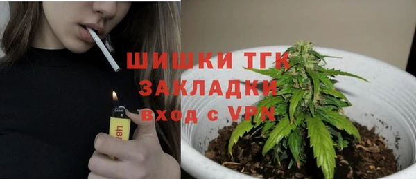 ПСИЛОЦИБИНОВЫЕ ГРИБЫ Балахна