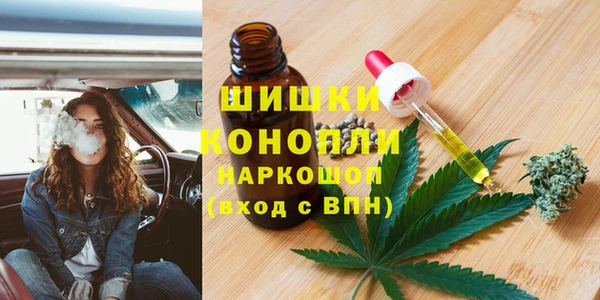 шишки Баксан