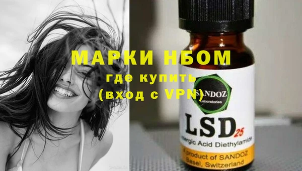 шишки Баксан